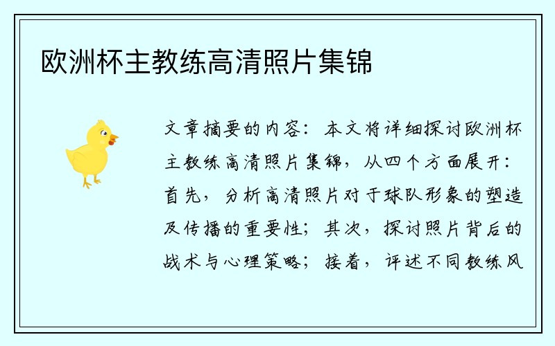 欧洲杯主教练高清照片集锦